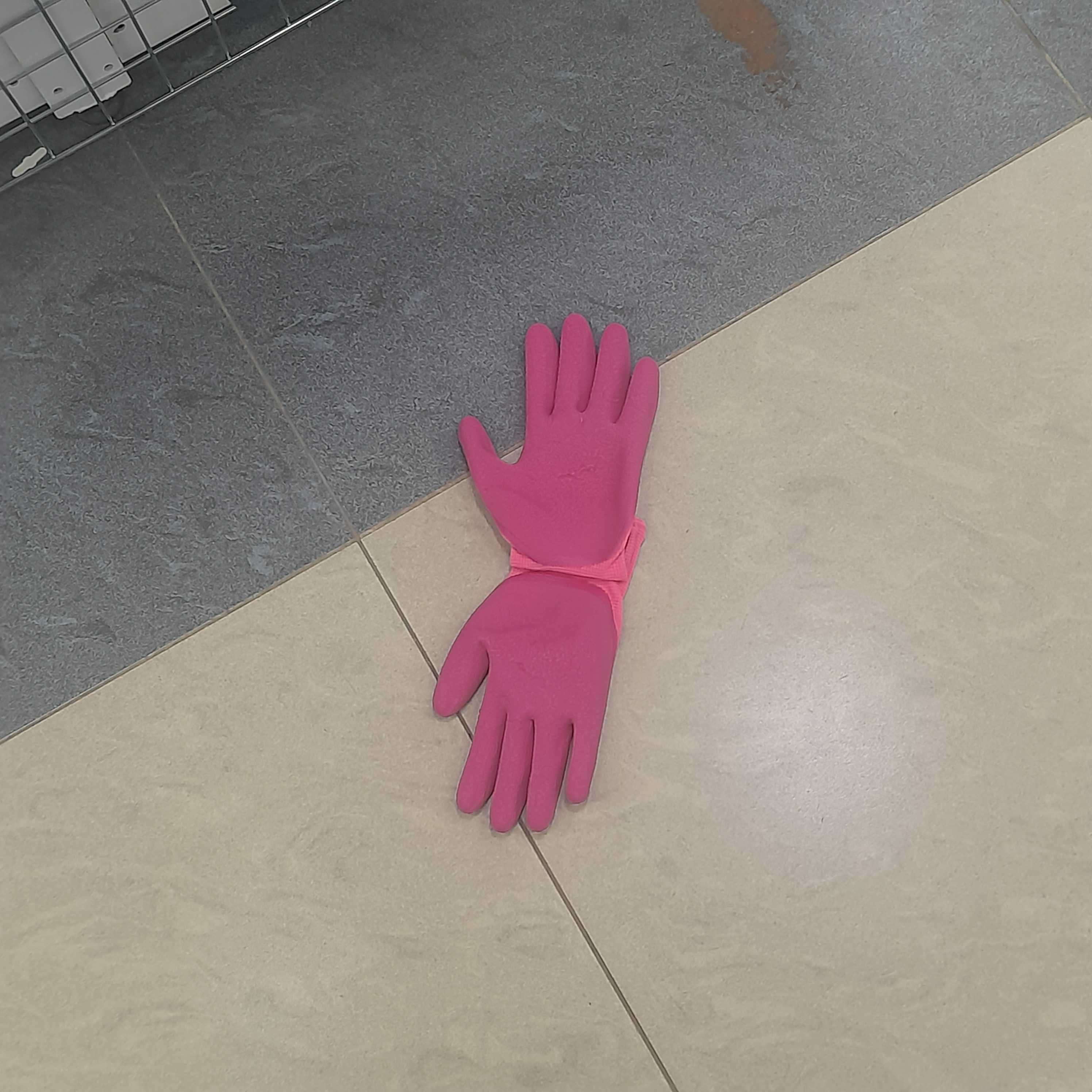 a new species